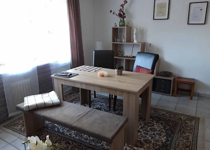 Am Ginkgo Baum Bad Pyrmont