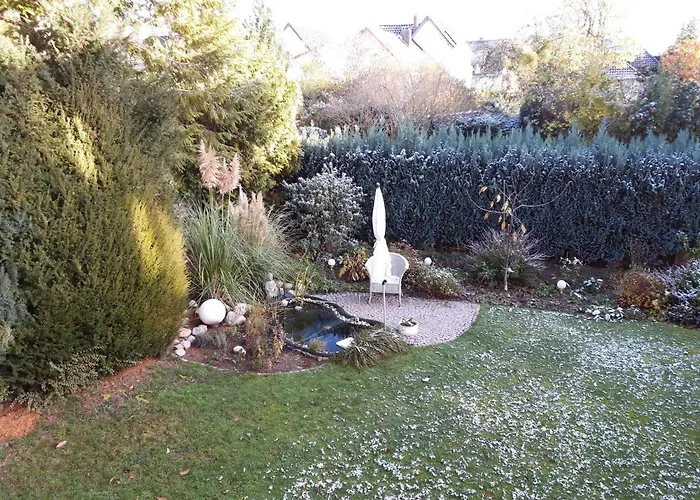 Am Ginkgo Baum * Bad Pyrmont